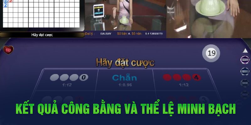 Xóc Đĩa Trực Tuyến Hướng Dẫn Cách Chơi Từ Chuyên Gia New88 6 Kết quả công bằng và thể lệ minh bạch